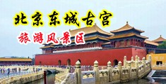 女人逼逼想男人大鸡吧插插视频中国北京-东城古宫旅游风景区